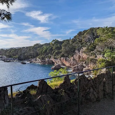 Superbe Vue Panoramique Daire *